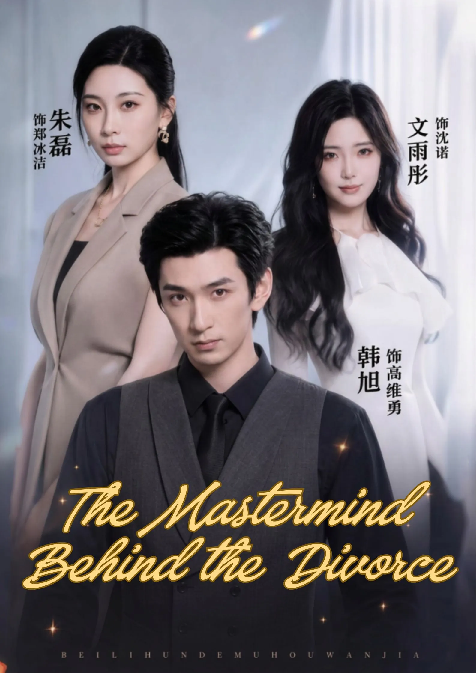 The Mastermind Behind the Divorce